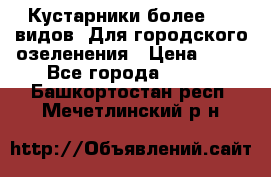 Кустарники более 100 видов. Для городского озеленения › Цена ­ 70 - Все города  »    . Башкортостан респ.,Мечетлинский р-н